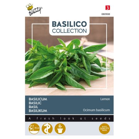 Buzzy Basilikum Lemon - Buzzy Basilicum Lemon