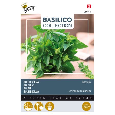 Buzzy Basilikum Bascuro - Buzzy Basilicum Bascuro