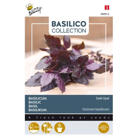 Buzzy Basilikum Dark Opal - Buzzy Basilicum Dark Opal
