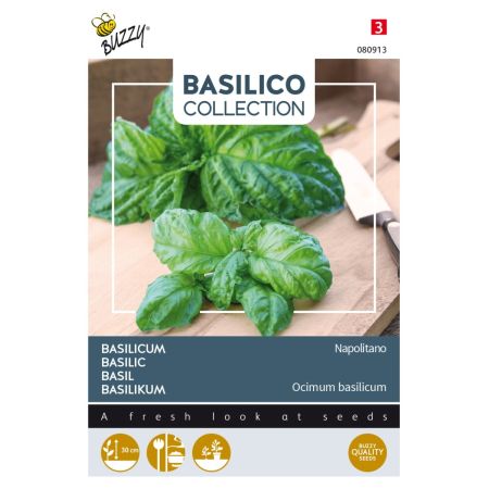 Buzzy Basilikum Napolitano - Buzzy Basilicum Napolitano