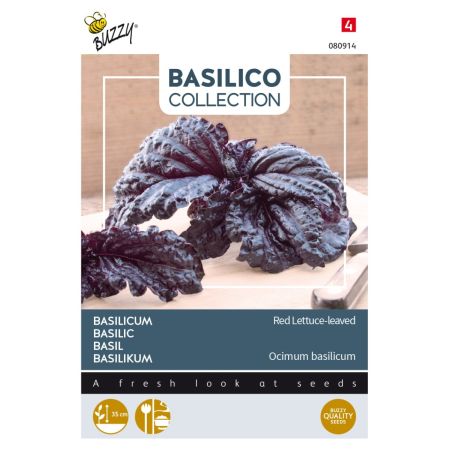 Buzzy Basilikum Red Lettuce-leaved - Buzzy Basilicum Rode slabladige