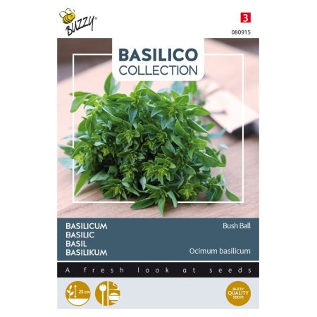 Buzzy Topfbasilikum Greco sehr Feinblättrig - Buzzy Basilicum Greek Basil Bush Ball