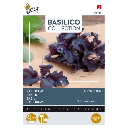 Buzzy Basilikum Purple Ruffles - Buzzy Basilicum Purple Ruffles