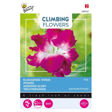 Buzzy Climbing Flowers, Ipomoea Dubbel Pink - Buzzy Climbing Flowers, Ipomoea Dubbel Rose