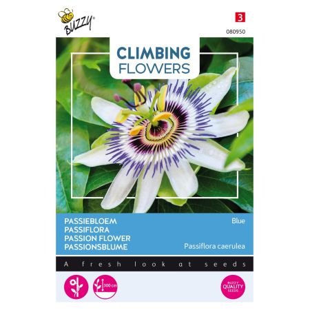 Buzzy Climbing Flowers, Passionsblume Blau - Buzzy Climbing Flowers, Passiebloem Blauw