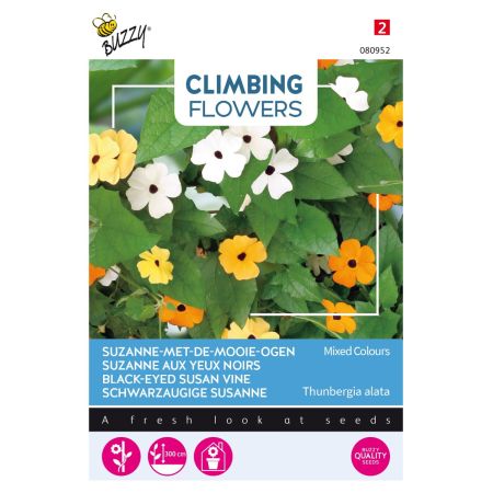 Buzzy Climbing Flowers, Thunbergia Mischung - Buzzy Climbing Flowers Thunbergia, Suzanne-met-mooie-ogen