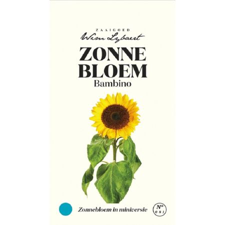 Zonnebloem Bambino - Wim Lybaert Zaaigoed