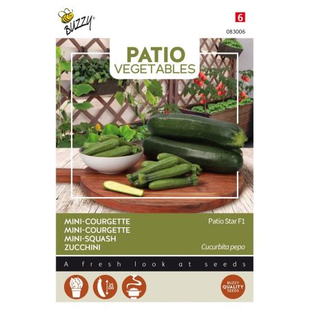 Buzzy Patio Veggies, Zucchini Patio Star F1 - Buzzy Patio Veggies, Courgette Patio Star F1
