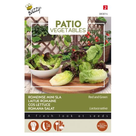 Buzzy Patio Veggies, Romana-Salat Rot und Grün - Buzzy Patio Veggies, Romeinse Mini-sla (gemengd)