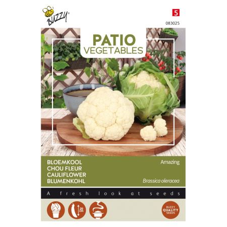 Buzzy Patio Veggies, Blumenkohl Amazing - Buzzy Patio Veggies, Bloemkool Amazing