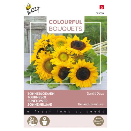 Buzzy Colourful Bouquets, Sunlit Days, Sonneblume - Buzzy Colourful Bouquets, Sunlit Days, zonnebloem