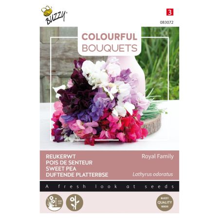 Buzzy Colourful Bouquets, Royal Family (lathyrus)