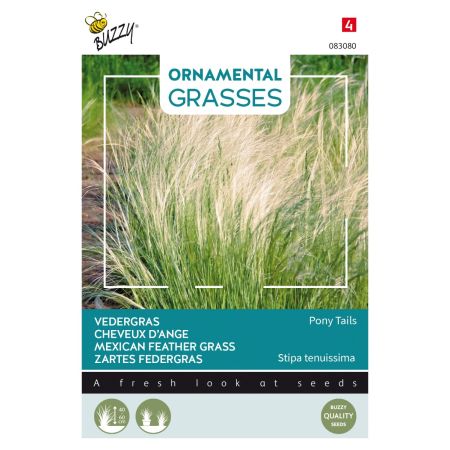 Buzzy Ornamental Grasses, Zartes Federgras 'Pony Tails' - Buzzy Ornamental Grasses, Vedergras Pony tails