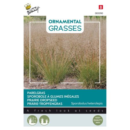 Buzzy Ornamental Grasses, Prärie-Tropfengras - Buzzy Ornamental Grasses, Parelgras