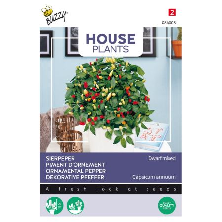 Buzzy House Plants Zierpfeffer, Dwarf Mischung - Buzzy House Plants Sierpeper, Dwarf mixed