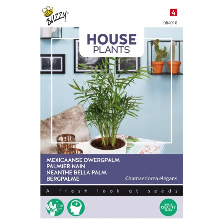 Buzzy House Plants Chamaedorea, Bergpalme - Buzzy House Plants Chamaedorea, Dwergpalm