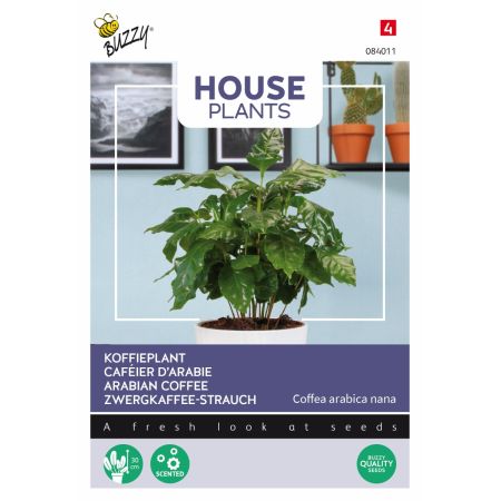 Buzzy House Plants Coffea Arabica, Zwergkaffee-Strauch - Buzzy House Plants Coffea Arabica, Koffieplant