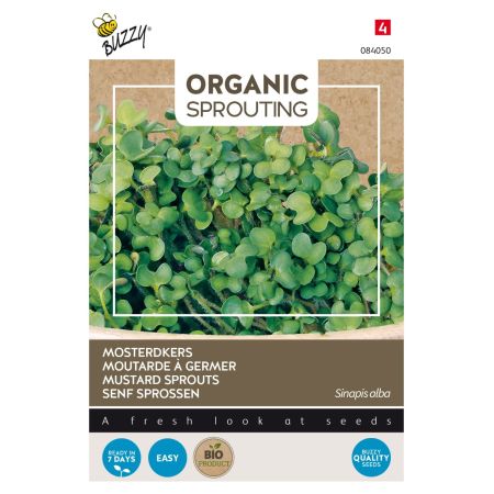 Buzzy Organic Sprouting Senf Sprossen (BIO) - Buzzy Organic Sprouting Mosterdkers  (BIO)