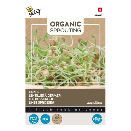 Buzzy Organic Sprouting Linse (BIO)
