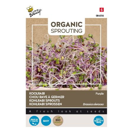 Buzzy Organic Sprouting Kohlrabi blaue (BIO) - Buzzy Organic Sprouting Koolrabi blauwpaars (BIO)