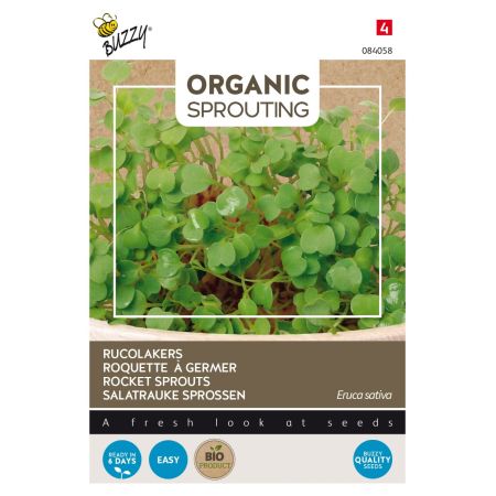 Buzzy Organic Sprouting Salatrauke (BIO)
