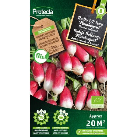 Rettich 1/2 lang Flamboyant Bio - Protecta Samen Bäuerle