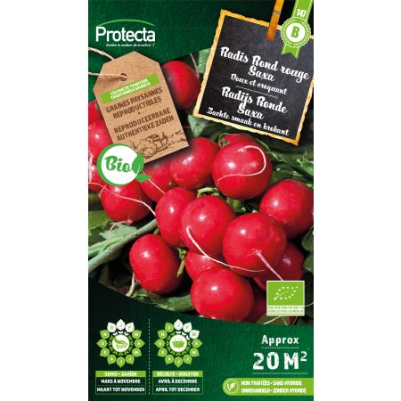 Rettich Rund rot Saxa Bio - Protecta Samen Bäuerle