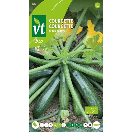 Courgette Black Beauty Bio