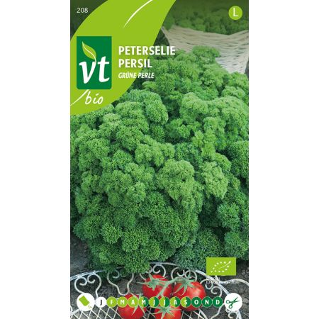 Peterselie Grüne Perle Bio