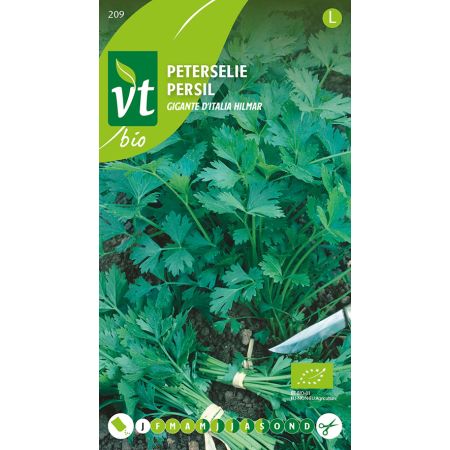 Peterselie Gigante d'Italia Hilmar