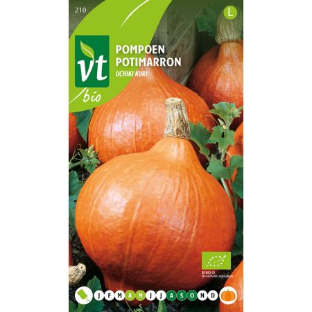 Pompoen Uchiki Kuri Bio