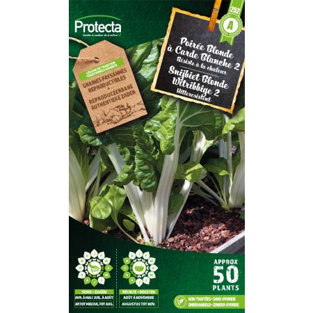 Poirée Blonde à Carde Blanche 2 – Protecta Samen bäuerl
