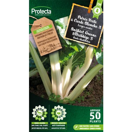 Poirée Verte à Carde Blanche 3 – Protecta Samen bäuerl