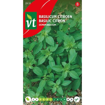Basilicum Citroen