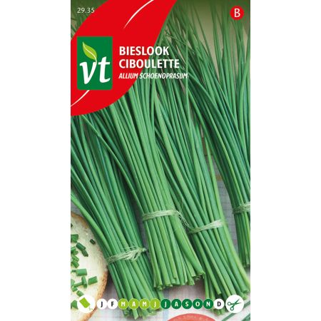 Schnittlauch - Bieslook