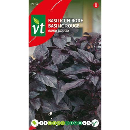 Basilicum Rode