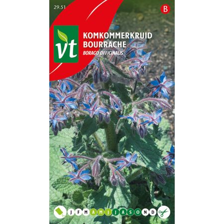 Komkommerkruid