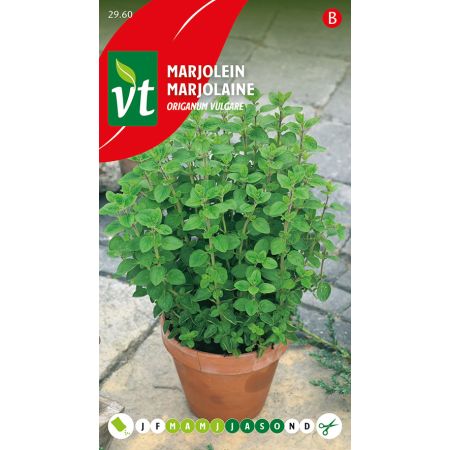 Marjolein