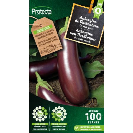 Aubergine de Barbentane - Protecta Samen bäuerl