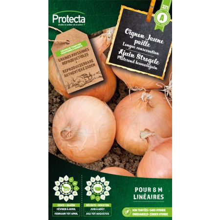 Zwiebel Strohgelb – Protecta Samen bäuerl
