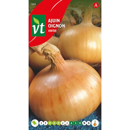 Ajuin Vertus