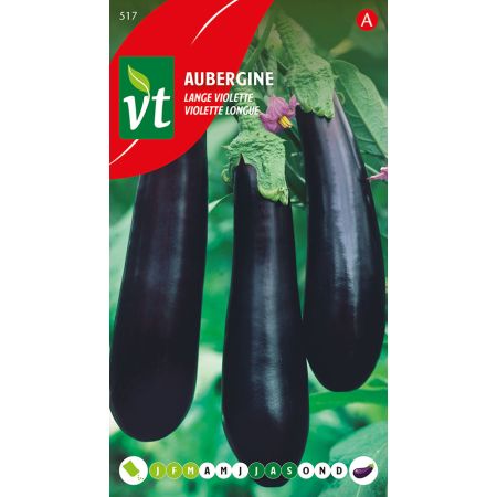 Aubergine Lange Violette