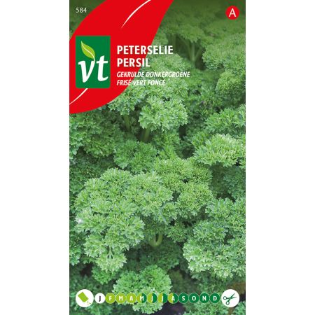 Petersilie Gelockt Dunkelgrün - Peterselie Gekrulde Donkergroene