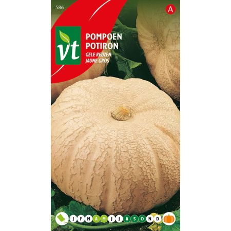Pompoen Gele Reuzen