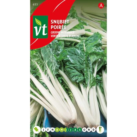 Snijbiet Groene witribbige