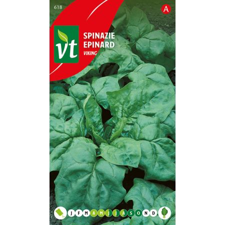 Spinat Viking Summer - Spinazie Viking Zomer