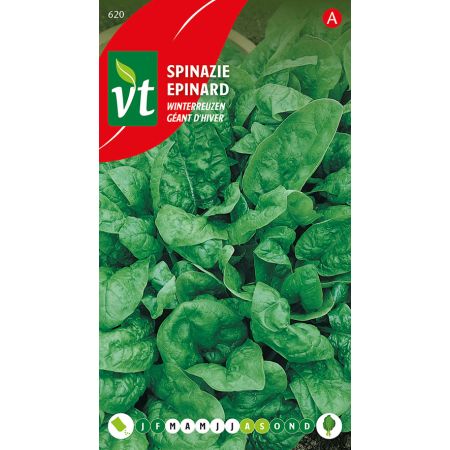 Spinazie Winterreuzen