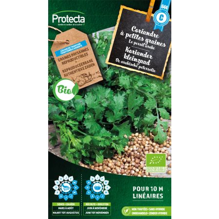 Kleinkörniger Koriander Bio - Protecta Samen bäuerl