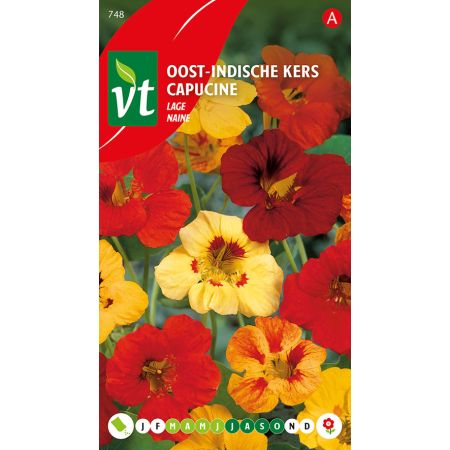 Oost-Indische Kers Lage
