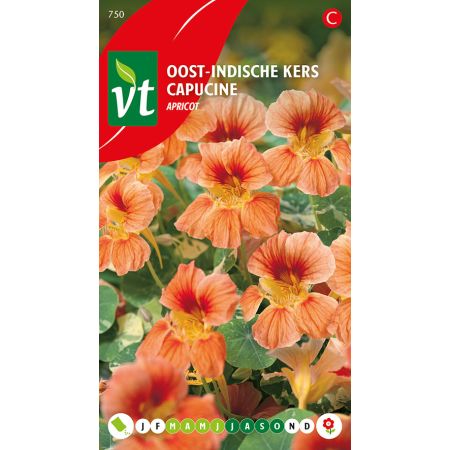 Oost-Indische Kers Apricot